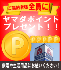 ヤマダポイント